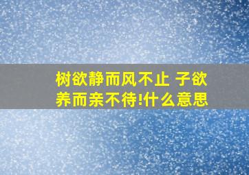 树欲静而风不止 子欲养而亲不待!什么意思